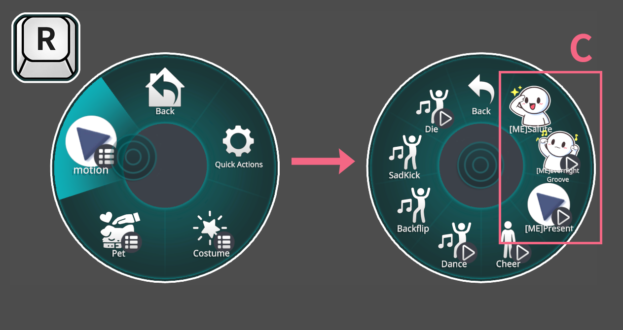 Emote Installer quick setup (C: Radial Menu)